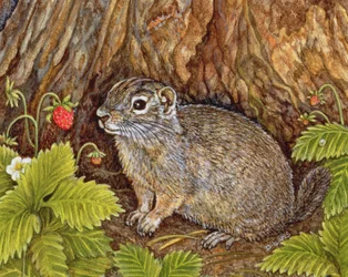 Eagle Creek, Wild Strawberry, Ground Squirrel, 1995 (akryl på panel)
