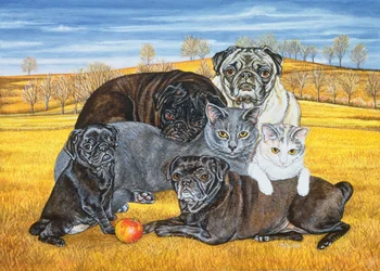 Hocking County Pug-Cats, 1995