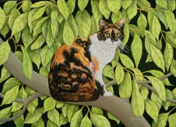 Leaves, 1994