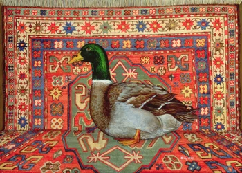 Rouen Carpet-Drake