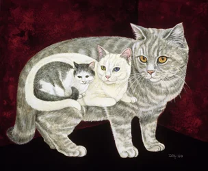 Rysk katt