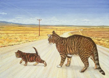 Saratoga Crossing, 1995