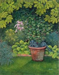 Blomkruka Katten