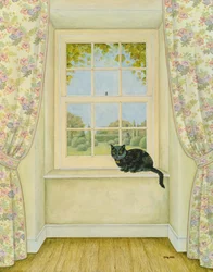 Fönsterkatten