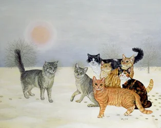 Vinter-katter