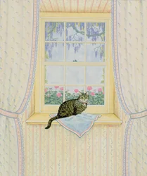 Blåregn katt