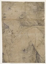 Uppblicande ung man (halvfigur), fragment av en kartong