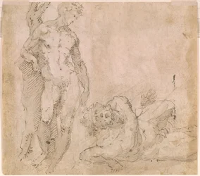 Beccafumi - Verso manlig nakenfigur lutad mot en trädstam och liggande manlig nakenfigur med bakåtkastat huvud, ca 1530-1540