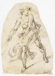 David med selen