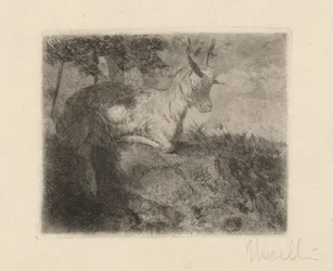 Den lilla geten (La capretta)