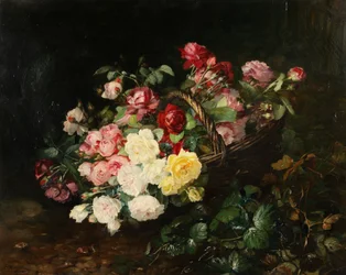 Rosor