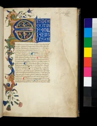 Ms 373. Pseudo-Cicero, Rhetorica ad Herennium och andra verk, f.1r. Upplyst initial [E] och partiell kant med akantusblad och blomdekor, första textraden med vita versaler på blå botten, ca 1337 (pergament)