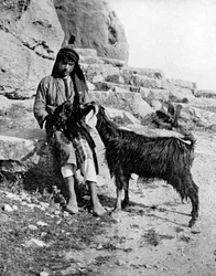 Arabisk pojke och get, Mellanöstern, 1936.