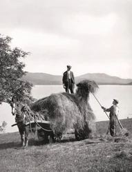 Lastar hö på en vagn på stranden av Loch Lomond, Skottland, 1924-1926.