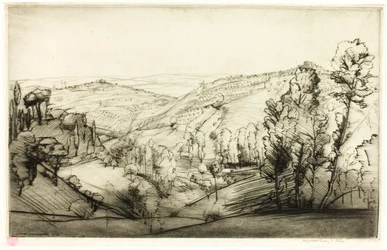 Fälten i San Gimignano
