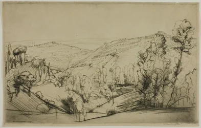 Fälten i San Gimignano