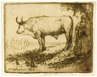 Den vita oxen