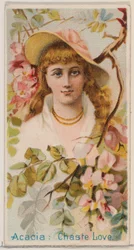 Acacia: Chaste Love, från serien Floral Beauties and Language of Flowers N75 för Duk..., 1892.