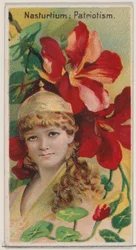 Nasturtium: Patriotism, från serien Floral Beauties and Language of Flowers N75 för ..., 1892.