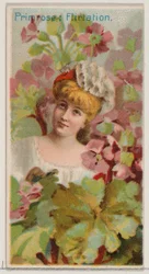 Primrose: Flirtation, från serien Floral Beauties and Language of Flowers N75 för Du..., 1892.