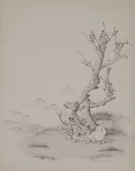 Stammen