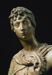 David, detalj av huvudet, 1408 marmordetalj av 79334