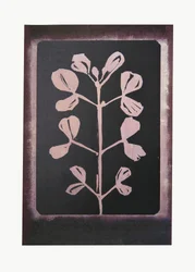 Mörk botanisk silhuett