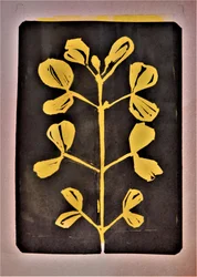 Gyllene botanisk form