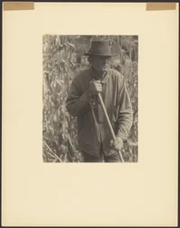 [Man med hacka i Sorghum Patch]