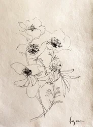 En fin blomsterskiss