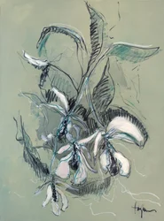 Elegant orkidé-skiss