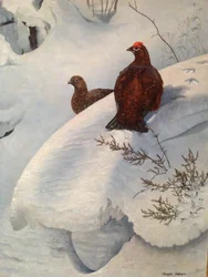 Ripa i snö, ca 1985 (olja på duk)