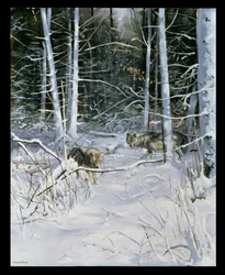 Vargar i en snöig skog