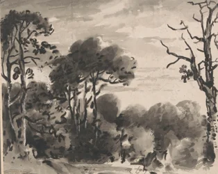 Komposition: The Edge of a Wood