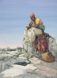 Ormtjusare, 1900
