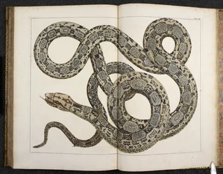 En Python, från 