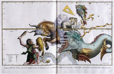 Himmelskarta över stjärnbilderna: Orion, Oxen, Väduren och Fiskarna, 1666-1668