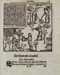 Plantera träd, från The Dutch Gardener av Johann van der Groen, publicerad 1699
