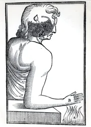 The Perception of the Senses, från De Homine Figuris av Rene Descartes (1596-1650) publicerad i Amsterdam, 1677