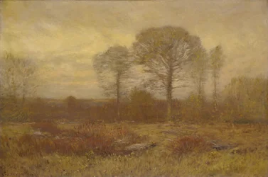 november 1904-1905.