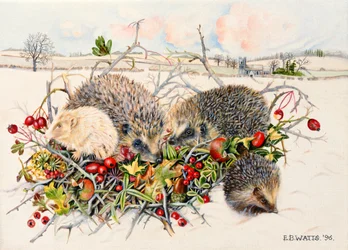 Igelkottar i Hedgerow Basket, 1996 (akryl på duk)