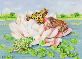 Näckros, 1998 (akryl på papper)