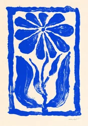 Blå blomning