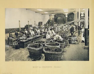 Buteljering av champagne, från La France Vinicole, utgiven av Moet & Chandon, Epernay (photolitho)
