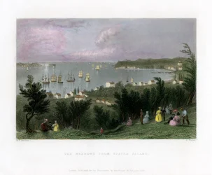 The Narrows sett från Staten Island, New York, USA, 1837.