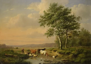 Dricksplatsen