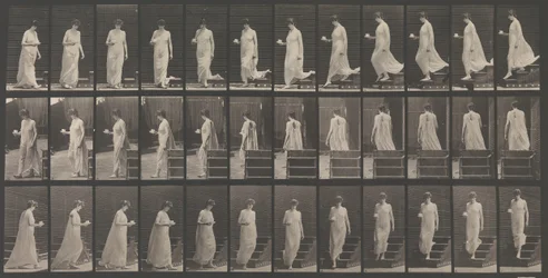 Djurrörelse. En elektrofotografisk undersökning... av djurrörelser. Börja..., 1880-talet.