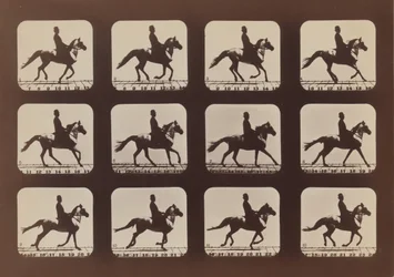 Attitudes of Animals in Motion, 1879, tryckt 1881.