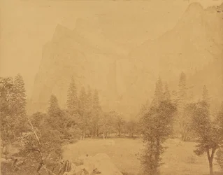 Pohona. Yosemites dal.