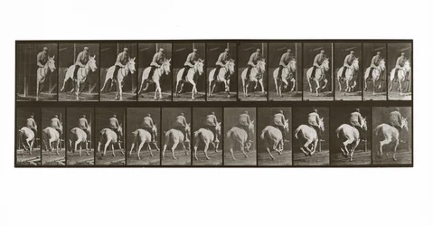 Galopperande häst med ryttare, skylt 635 från Animal Locomotion, 1887